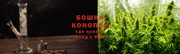 стафф Кодинск