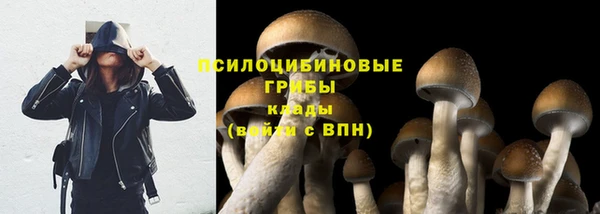скорость Козловка