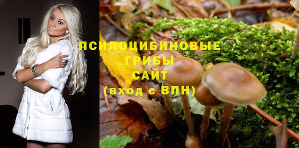 стафф Козельск