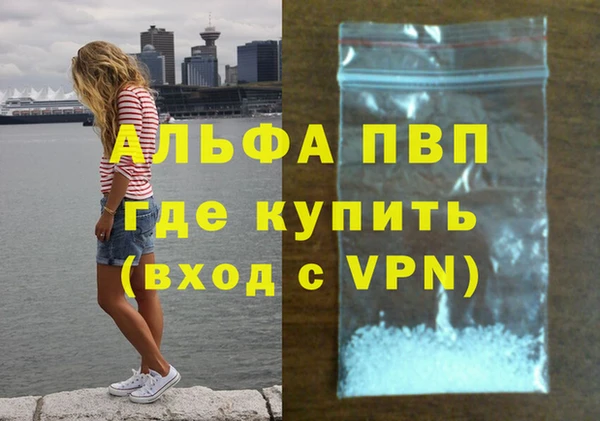 стафф Козельск