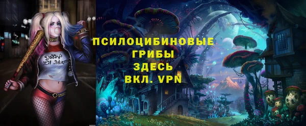 скорость Козловка