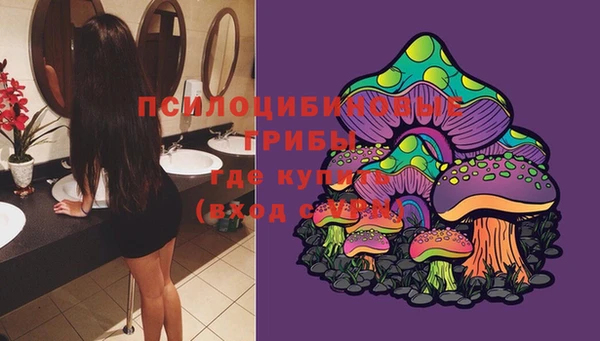стафф Кодинск