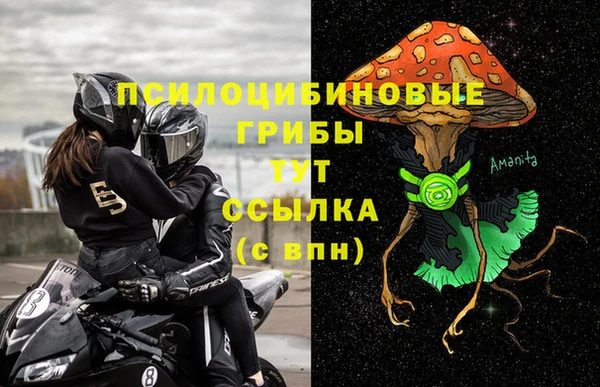 стафф Кодинск