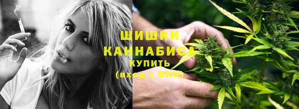 стафф Козельск