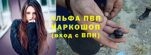 стафф Козельск
