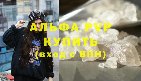 стафф Кодинск